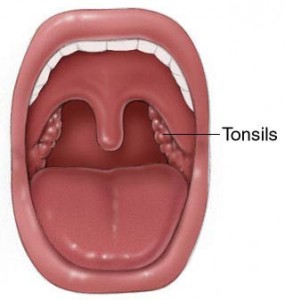 tonsils